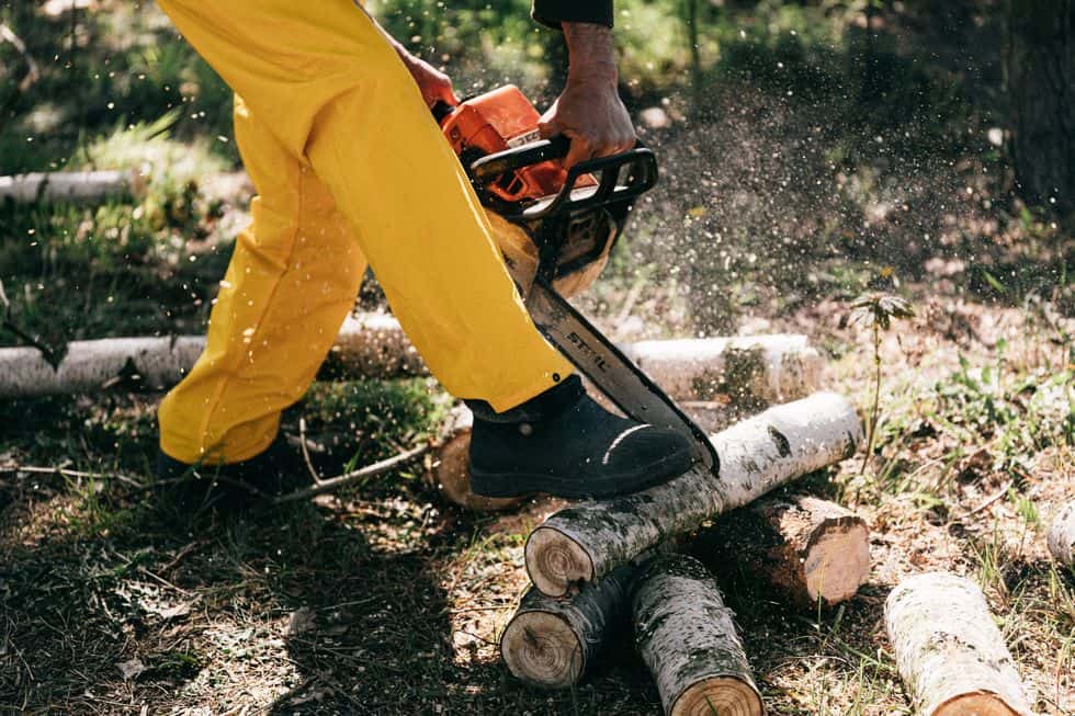 10年後可能被「科技」取代的職業：伐木工人
