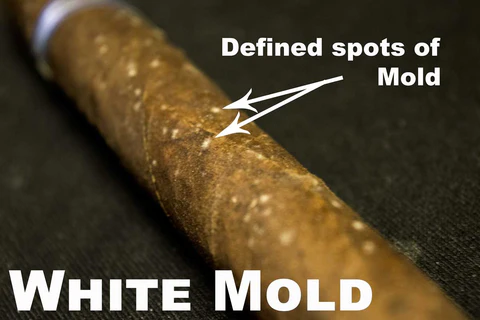 雪茄發霉（Mold）